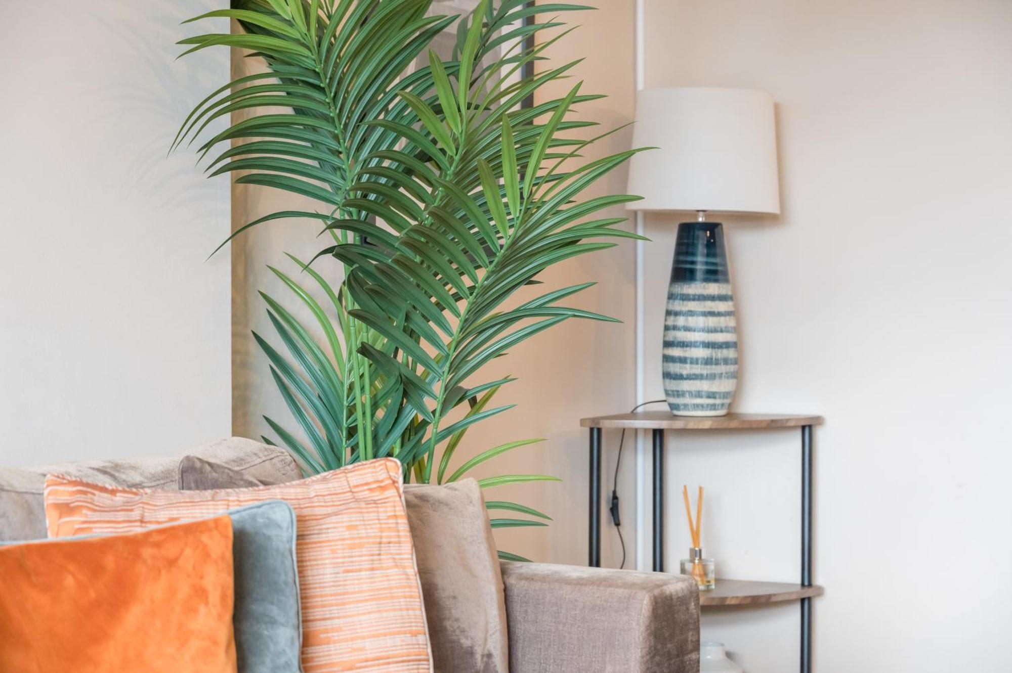 Apartments: Park Avenue